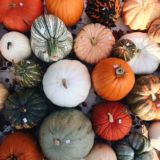 Geneva French Market - @whhitneyy